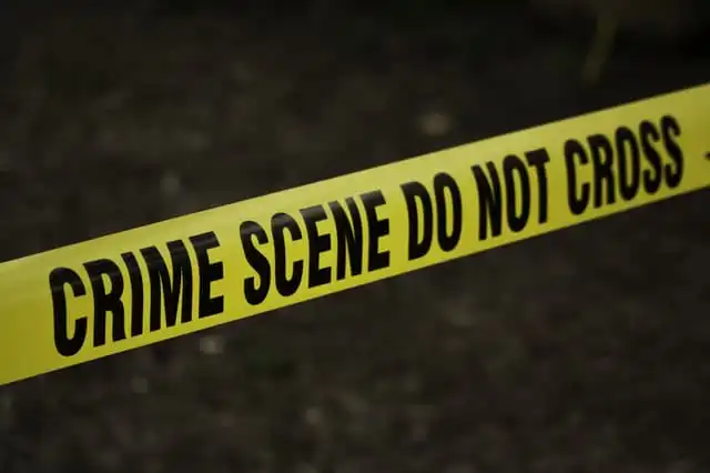 master criminologia unipegaso