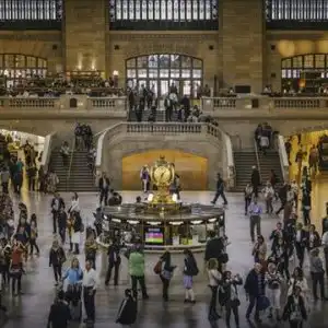 Scienze dell’Amministrazione e della Sicurezza unitelma fiorerosalba